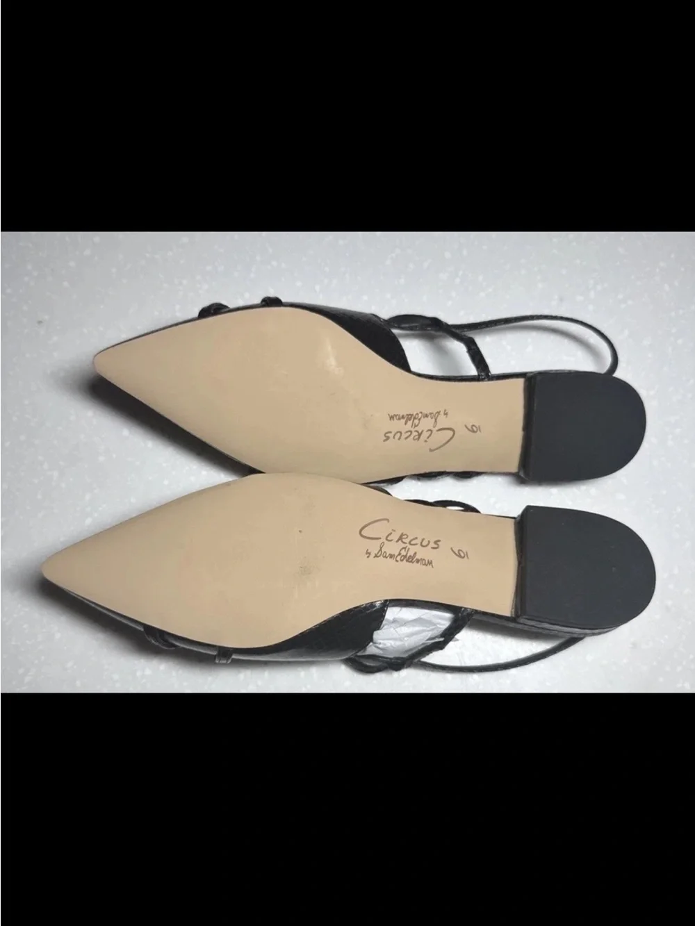 Sam Edelman sleek pointed